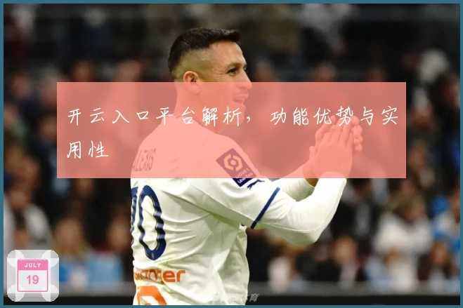 开云入口平台解析，功能优势与实用性