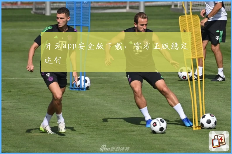 开云app安全版下载，官方正版稳定运行