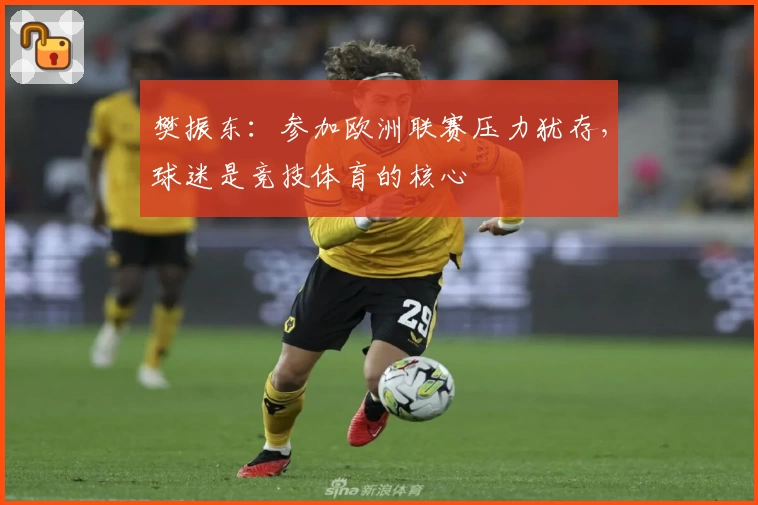 樊振东：参加欧洲联赛压力犹存，球迷是竞技体育的核心