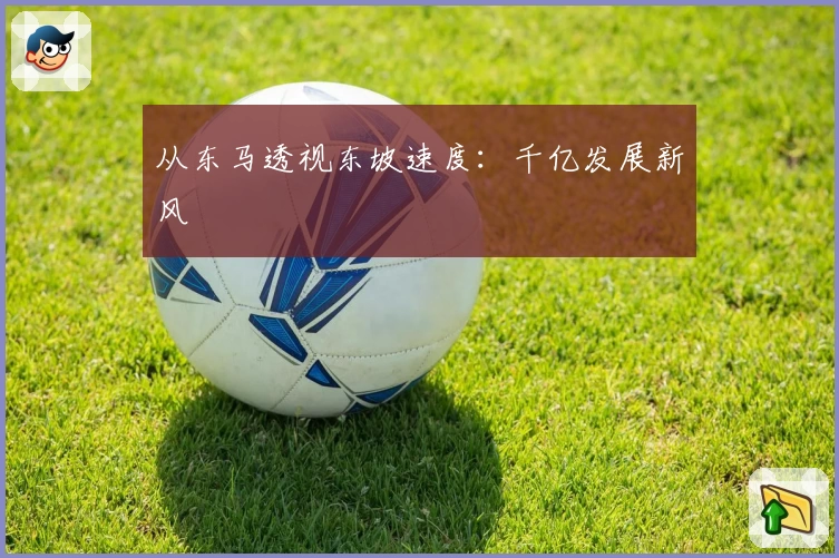 从东马透视东坡速度：千亿发展新风