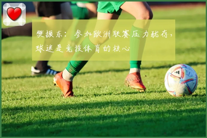 樊振东：参加欧洲联赛压力犹存，球迷是竞技体育的核心