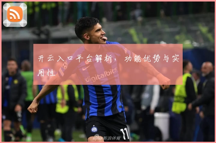开云入口平台解析，功能优势与实用性