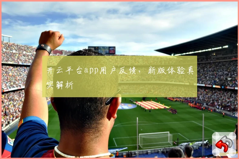 开云平台app用户反馈，新版体验真实解析